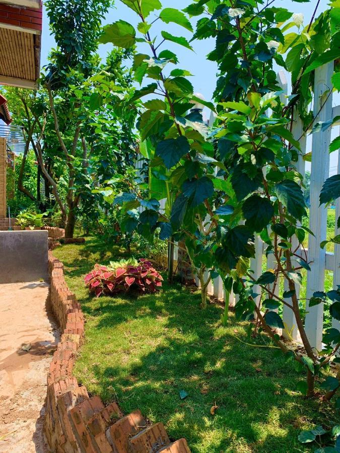 נין בין Tam Coc Mandala Villa & Homestay מראה חיצוני תמונה