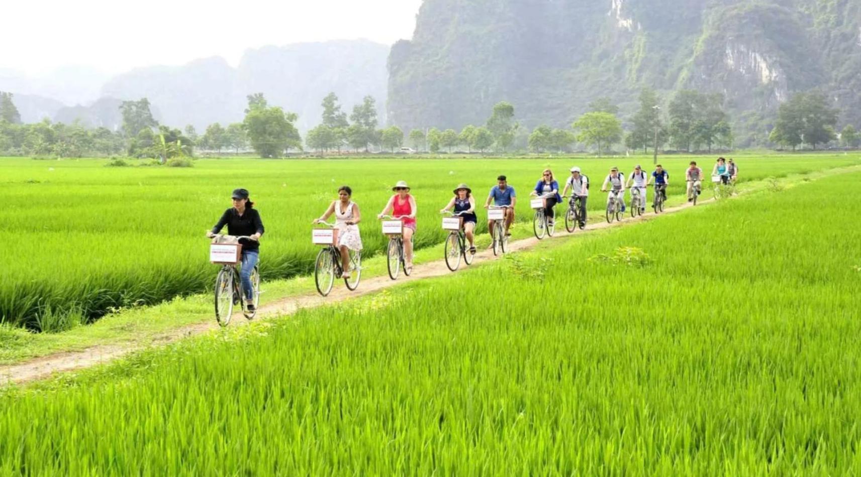 נין בין Tam Coc Mandala Villa & Homestay מראה חיצוני תמונה